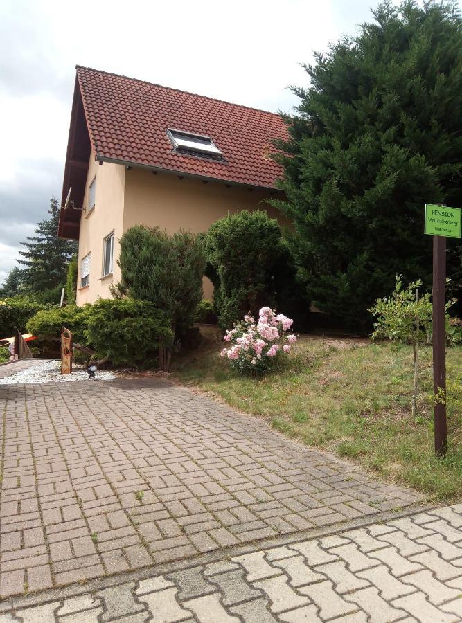 Pension "Am Zuckerberg" Brahmenau エクステリア 写真